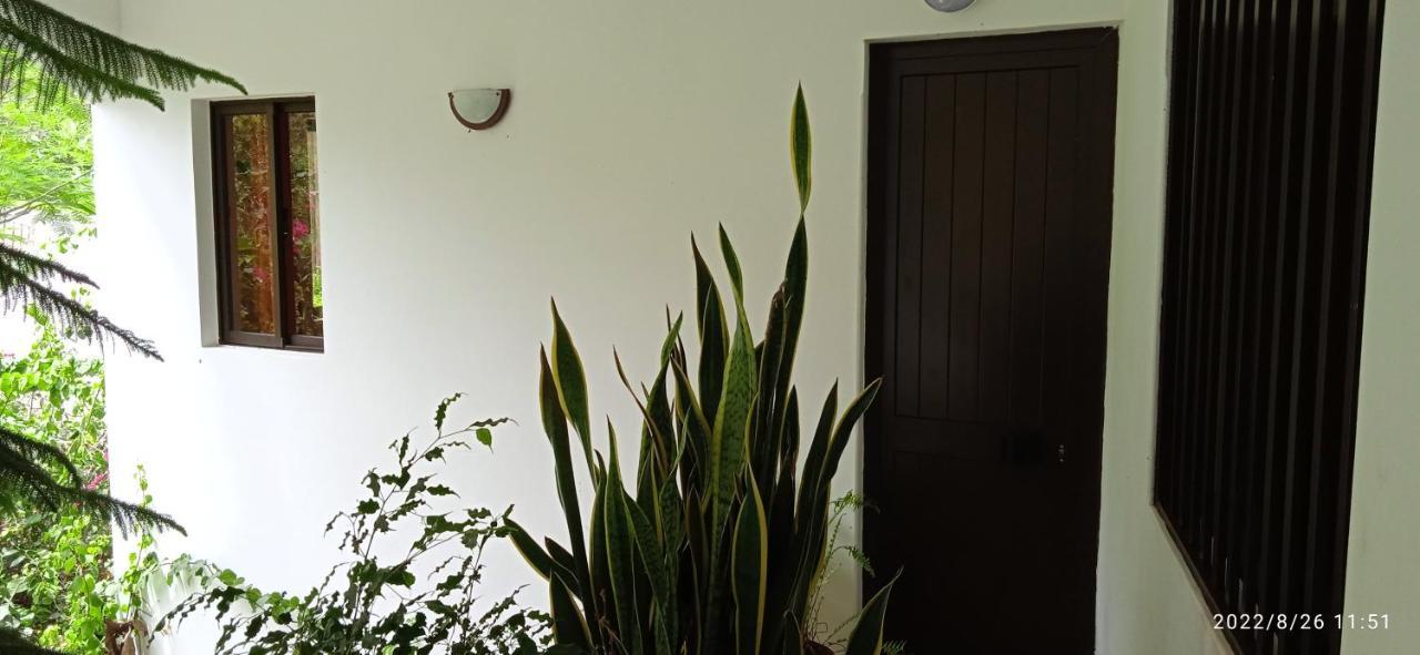 Damontanha 2 Apartment Ribeira Grande Luaran gambar